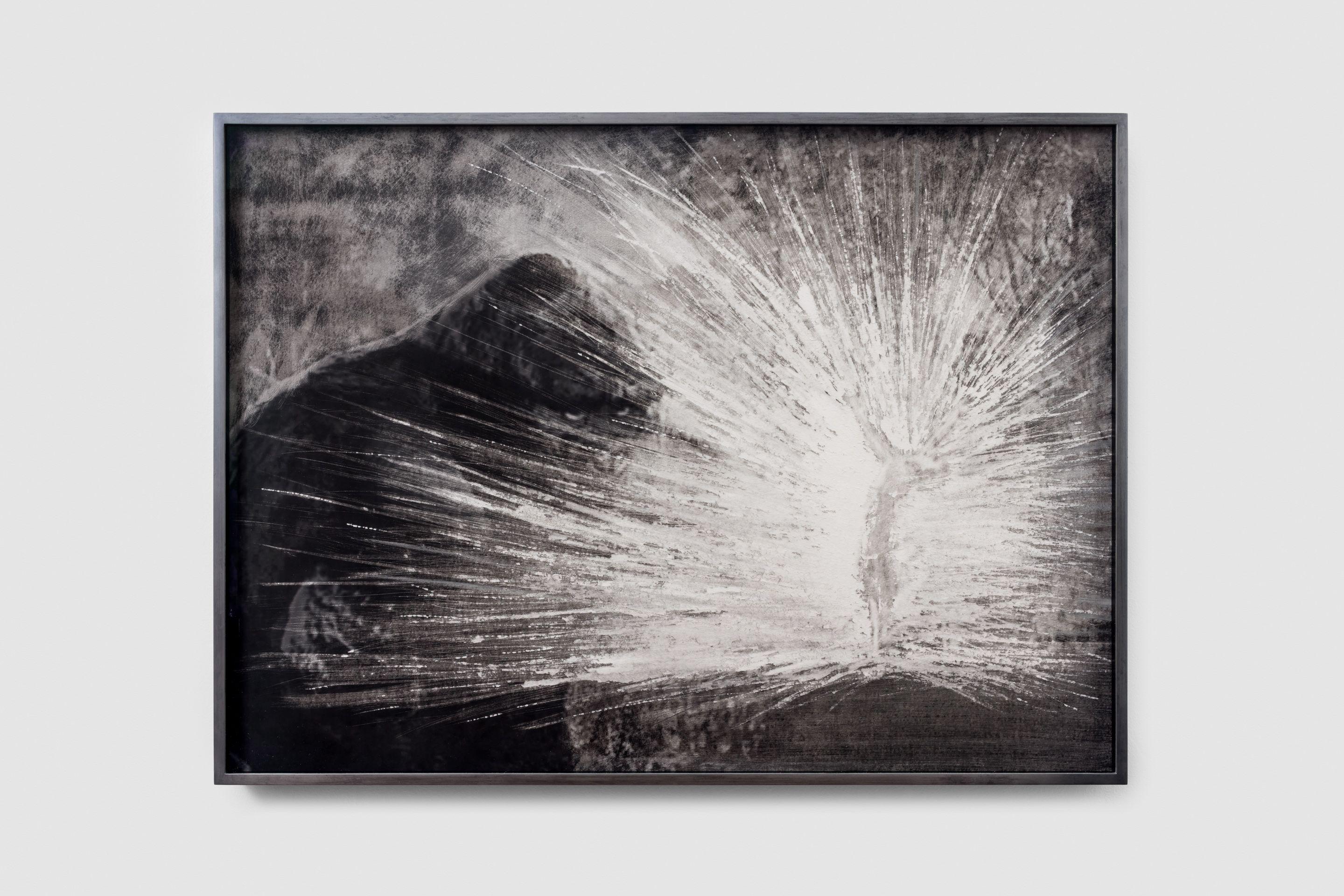Erika Trotzig, Tess Tomassini, Jason Shulman, Simon Periton, Chantal Goulder
